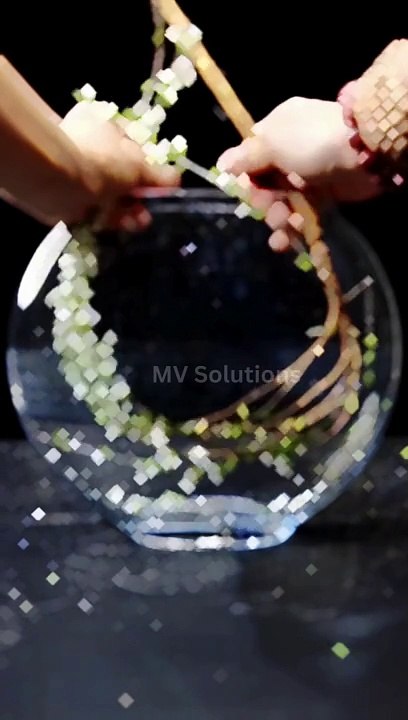 Chinese TikTok-DIY Magic: Create Something Amazing
