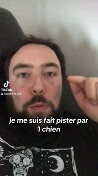 Je me suis fait pister un chien (exercice canin)