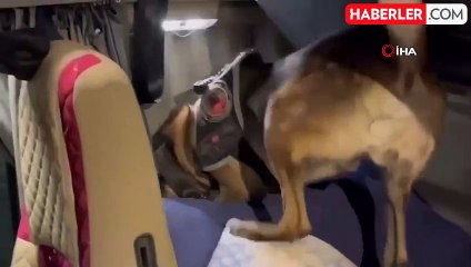 Edirne'de Tırda 12 Kilogram Kokain Ele Geçirildi