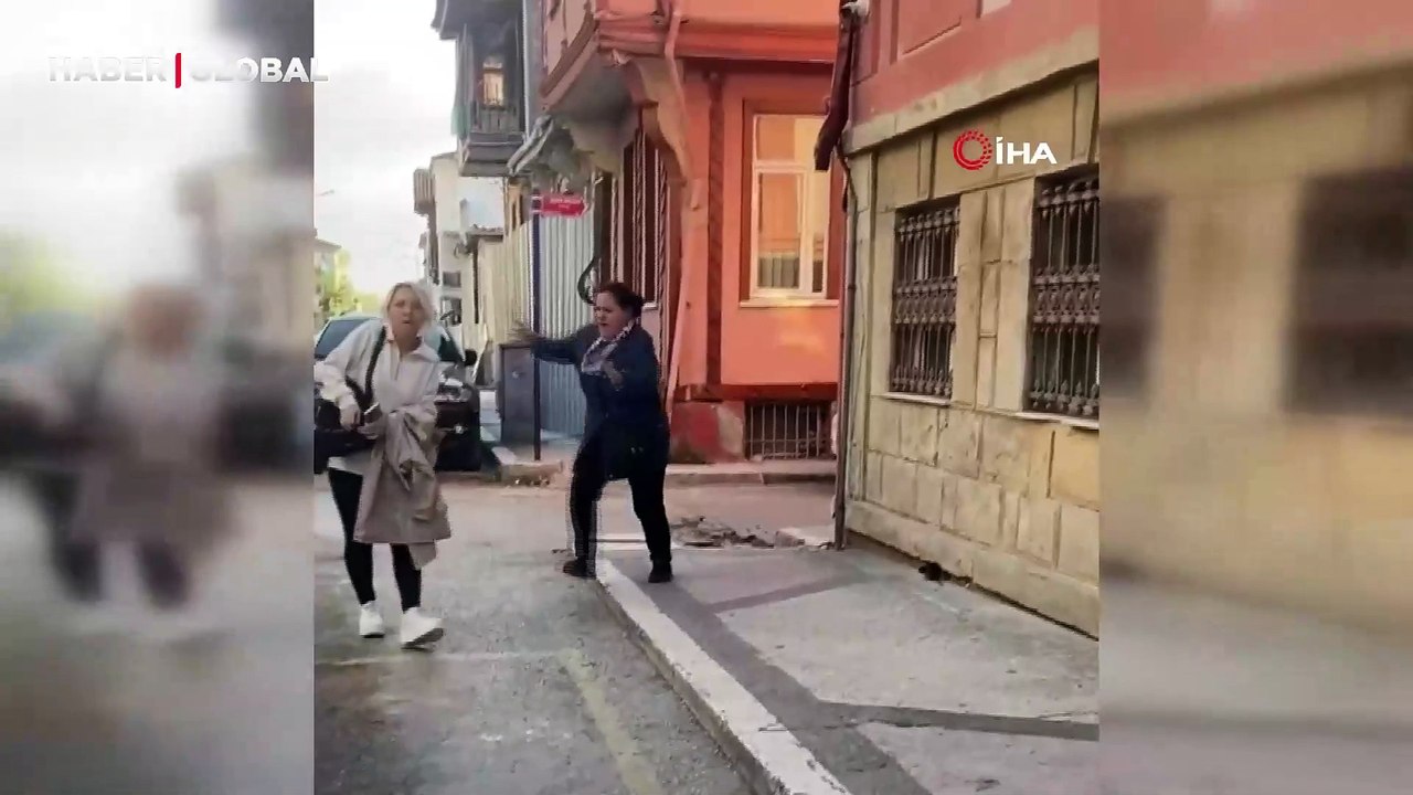 Dev fare insanların üzerine atladı, kedi ve köpek ise fareyi görmezden geldi