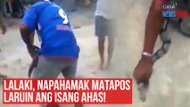 Lalaki, napahamak matapos laruin ang isang ahas! | GMA Integrated Newsfeed