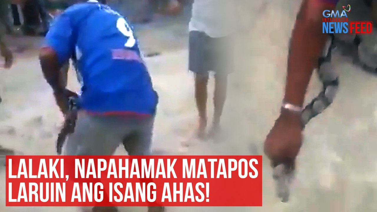 Lalaki, napahamak matapos laruin ang isang ahas! | GMA Integrated Newsfeed