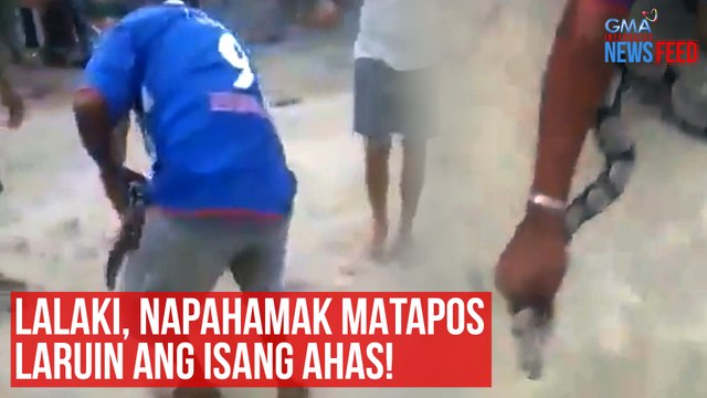 Lalaki, napahamak matapos laruin ang isang ahas! | GMA Integrated Newsfeed