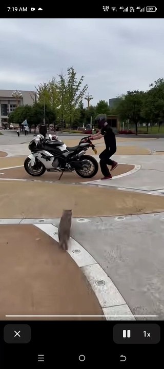 Cute cat bike and wear helmets