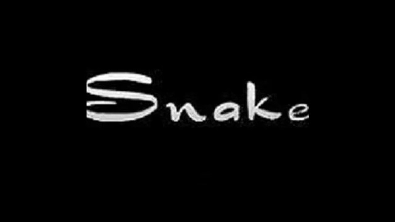 Snake - Nirvana ( Remasterisé )