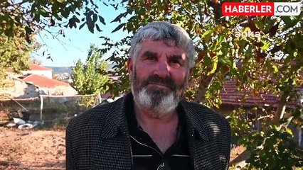 Sahte Bal Alarmı: Arı Yetiştiricileri Denetim İstiyor