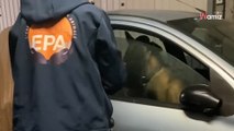 Seine-et-Marne : ils découvrent un chien enfermé dans une voiture délabrée dans un parking souterrain (vidéo)