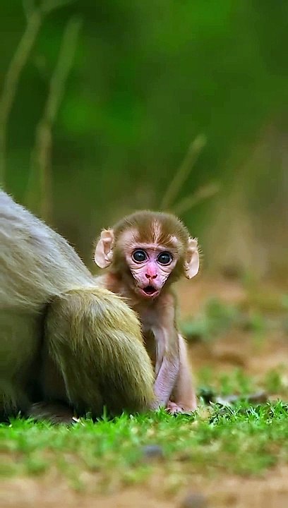 Surah_Furqan_ayah_72_#quran_#islam(720p)