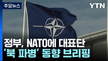 정부, NATO에 대표단 파견...'북 파병' 정보 협력 / YTN