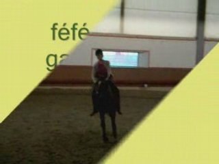 douce féérie à cru en dressage