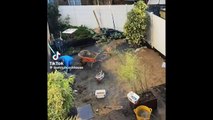 I was quoted 20K for a garden renovation, so I did it myself and saved 12K!