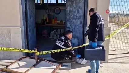 liseli genç dehşet saçtı kız meselesi yüzünden arkadaşını öldürdü