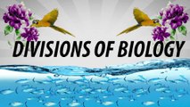 Divisions of biology | SKW Biology