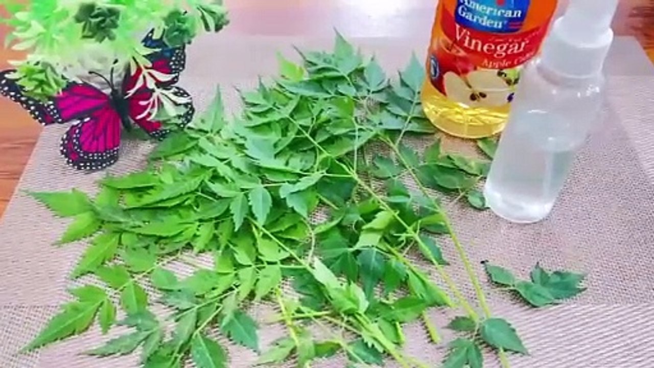 Hair dandruff ky leay homemade remedy & Dandruff KO khtam  krny Ka tariqa Remove dandruff sapry