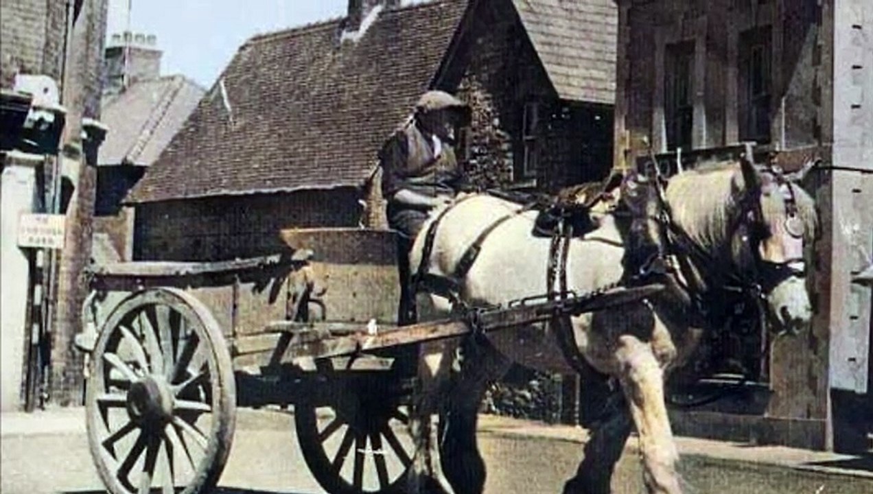 Horses and carts in Abergavenny! video Dailymotion