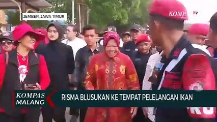 Blusukan ke Tempat Pelelangan Ikan Puger Jember, Risma Soroti Kesejahteraan Nelayan