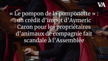 « Le pompon de la pomponette » : un crédit d’impôt d’Aymeric Caron pour les propriétaires d’animaux de compagnie fait scandale à l’Assemblée