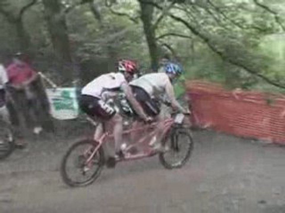 2007_crapauds