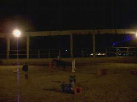 cso saut d'obstacle avec jonquille