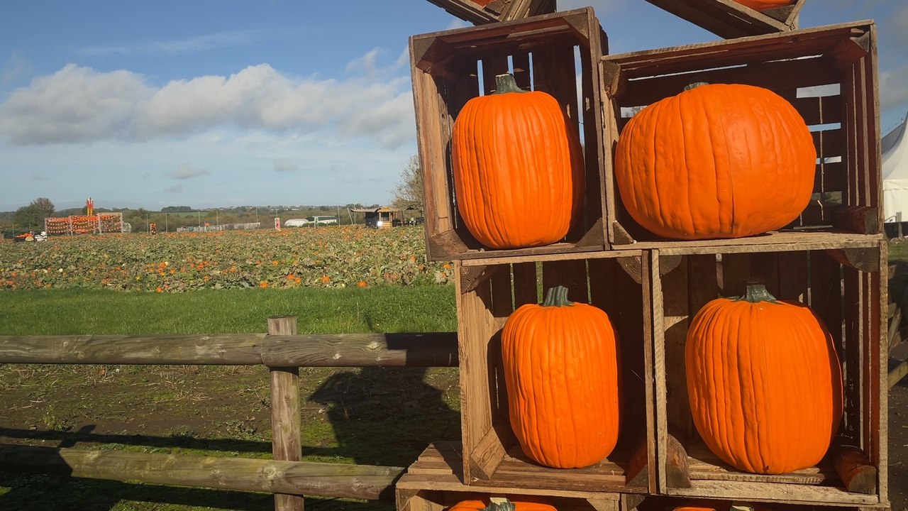A guide to half term in the city of bristol: Do locals celebrate halloween?