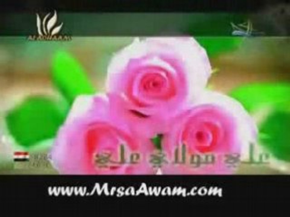 SaloO MaWLaYa aLi