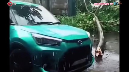 Anak Sekolah Gotong Royong Angkat Pohon Tumbang