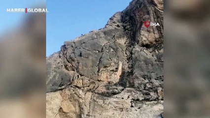 Kayalıklarda mahsur kalan köpeğin içler acısı hali