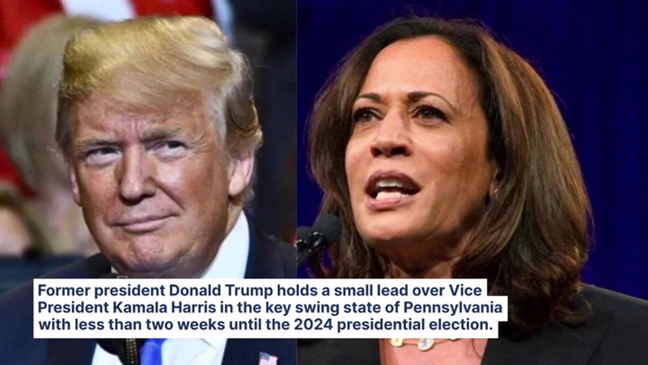 Trump Leads In Swing State Pennsylvania: Did McDonald's Shift Help Support In 2024 Election Poll?