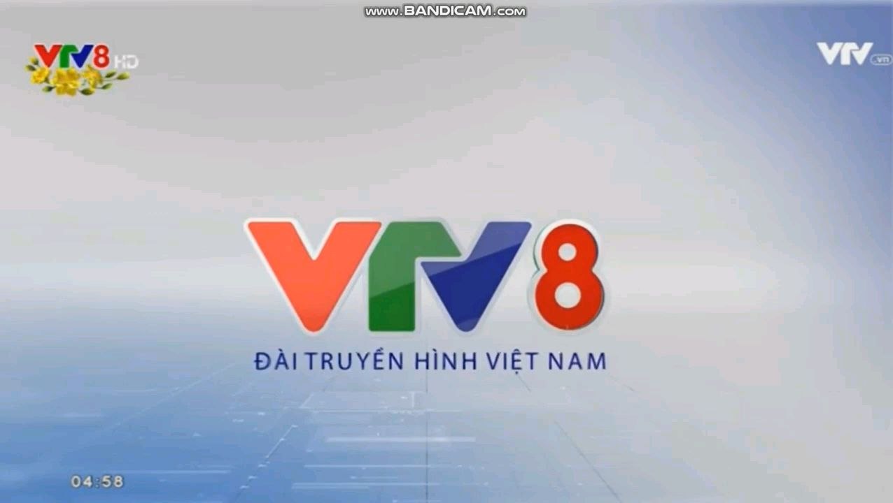 VTV8 (23.01.2017,04h58)