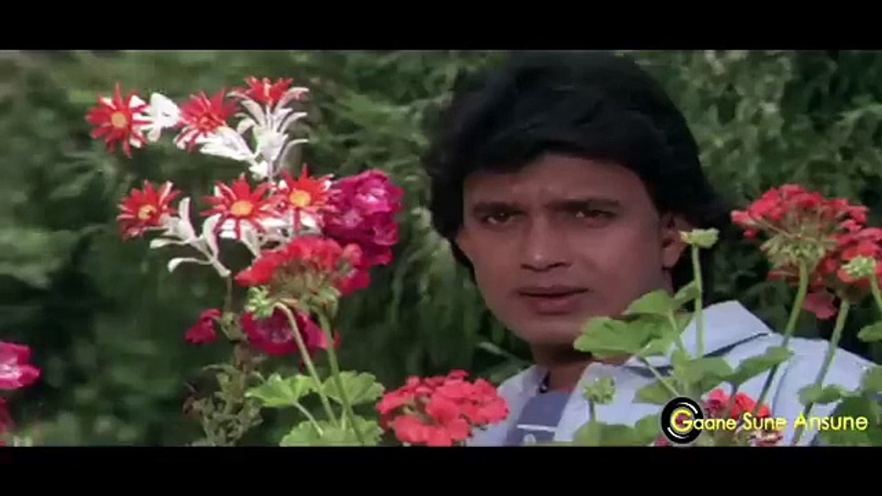 Tum Jo Mile To /1989 Mil Gayee Manzil Mujhe 198...