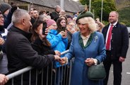 Queen Camilla still uses 'old-fashioned' phone