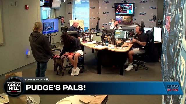 Pudge's Pals returns! Please welcome 8-year-old Chuck! Do you want to give Chuck a fur-ever home?