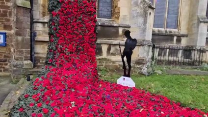 Wellingborough Poppy Appeal launched
