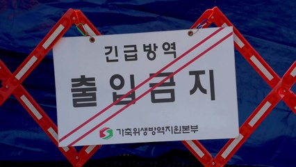 충남 당진 한우농장서 럼피스킨 발생...4개 시·군 일시이동중지 / YTN