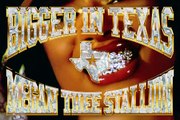 Megan Thee Stallion - Bigger In Texas [Official Video]