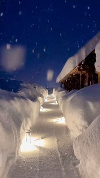 The Heavy Snow is Flying At The Blue Moment Scenery Winter Follow For More Videos Have Virelreels ...!!