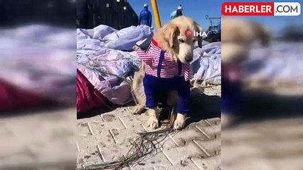Köpeğiyle Yamaç Paraşütü Yaparak 1700 Metreden Atladı