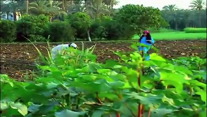 مسلسل بيني وبينك 1 الحلقة 21