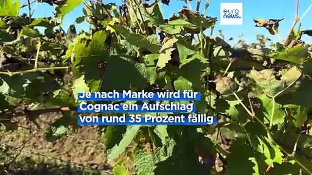 Wir werden als Geiseln gehalten : Französische Cognac-Industrie verärgert über Handelskrieg zwischen der EU und China