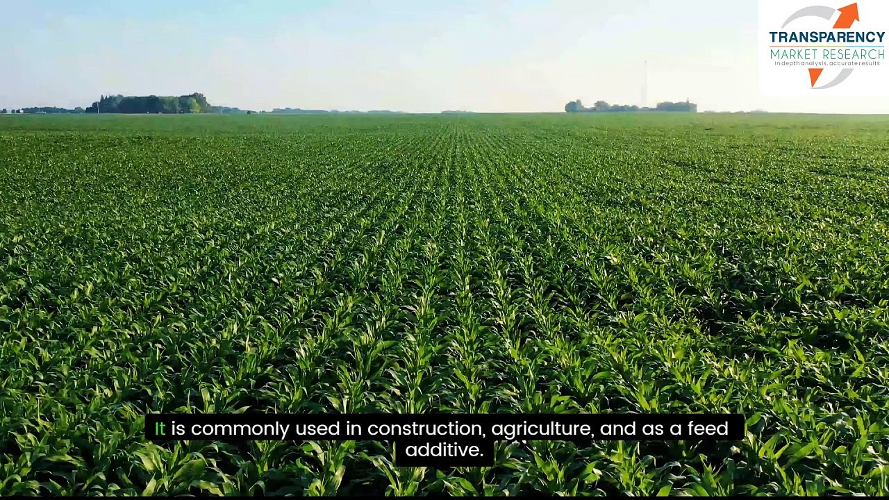 Calcium Formate Market Segmentation and Regional Insights