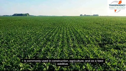 Challenges in the Calcium Formate Market: What Buyers Face