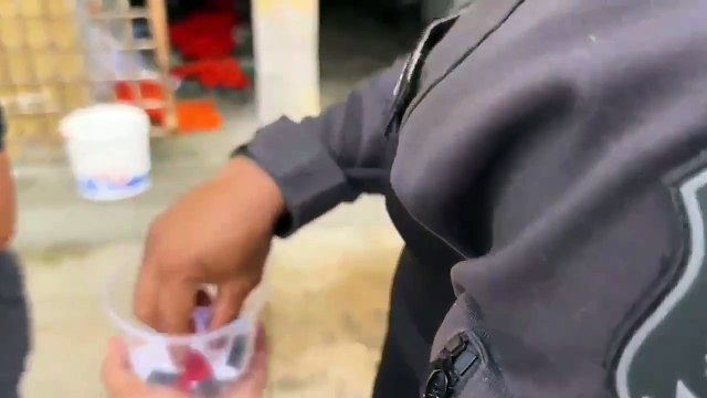 Operação Angerona apreende 10 celulares na cela de cinco lideranças do tráfico de drogas; saiba detalhes