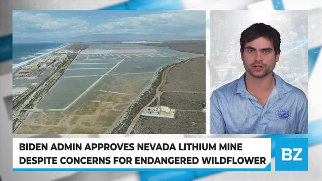 Biden Admin Approves Nevada Lithium Mine Despite Concerns For Endangered Wildflower