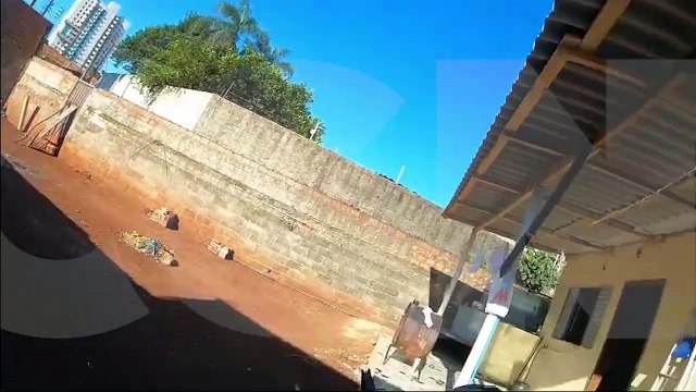Polícia apreende 310 kg de maconha e prende 4 suspeitos em Foz do Iguaçu