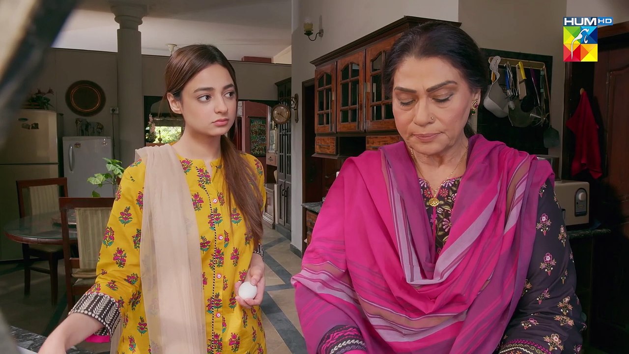 Woh Ziddi Si - Episode 14 - 25th October 2024 [ Aina Asif & Ali Abbas ] - HUM TV