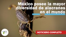 México posee la mayor diversidad de alacranes en el mundo | 703 | 28 de octubre-3 de noviembre 2024