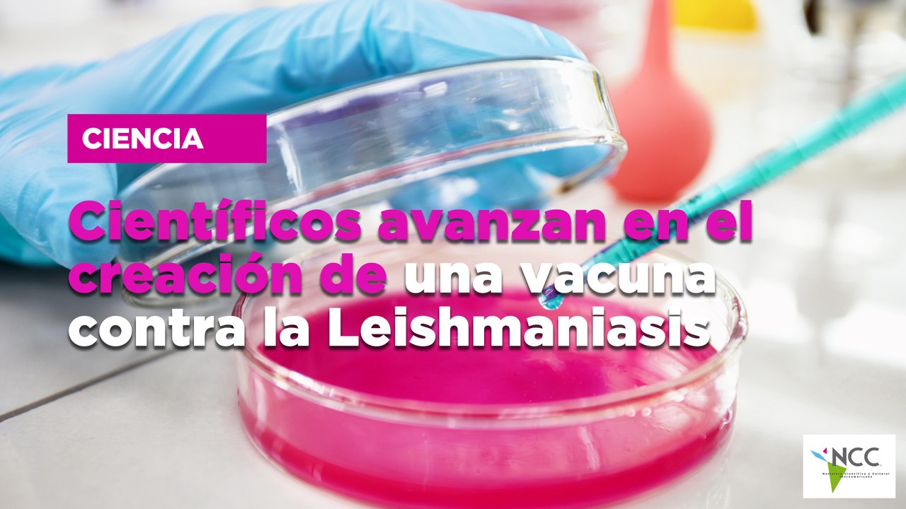 Científicos avanzan en el creación de una vacuna contra la Leishmaniasis
