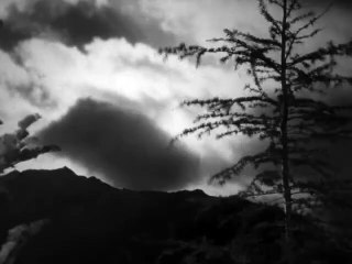 Die schwarze Katze | movie | 1934 | Official Trailer