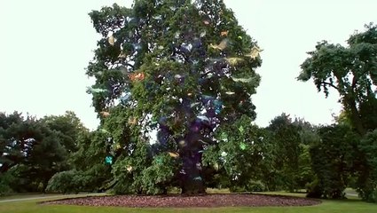 Documental cosmos 1x02 Evolución molécula a molécula