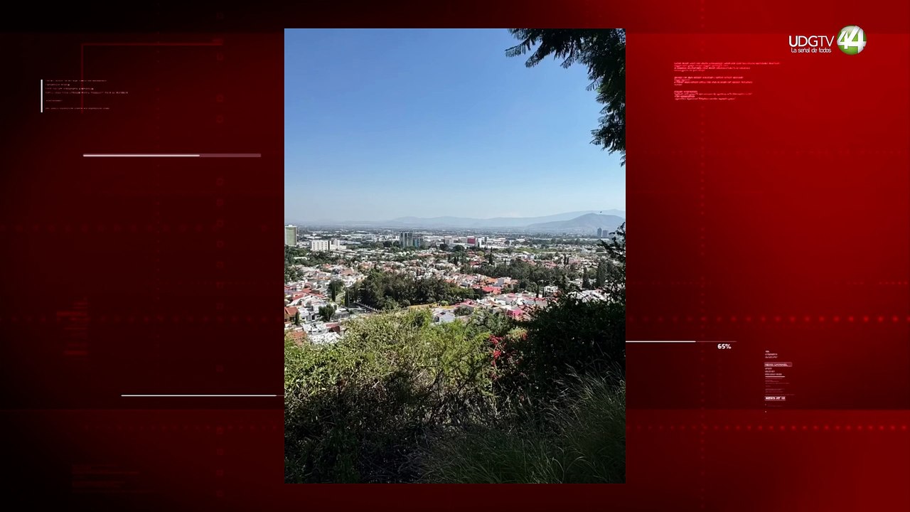 Mueren mapaches arrollados en El Palomar; piden bajar velocidad